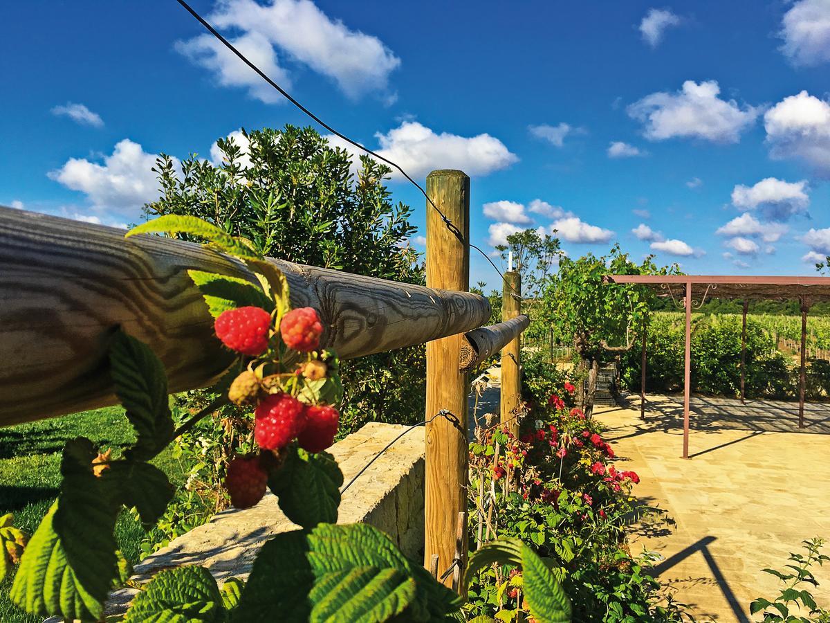 Agriturismo Vigna Corallo Отранто Экстерьер фото